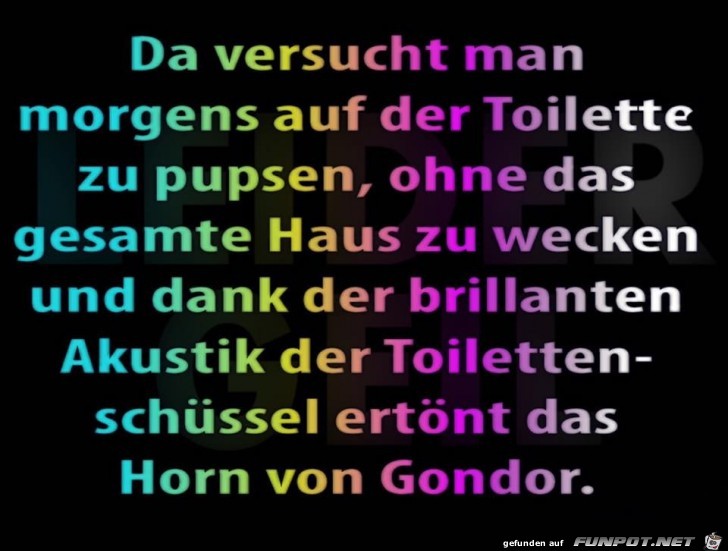 Morgens auf der Toilette