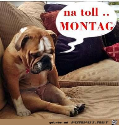 Montag Montag