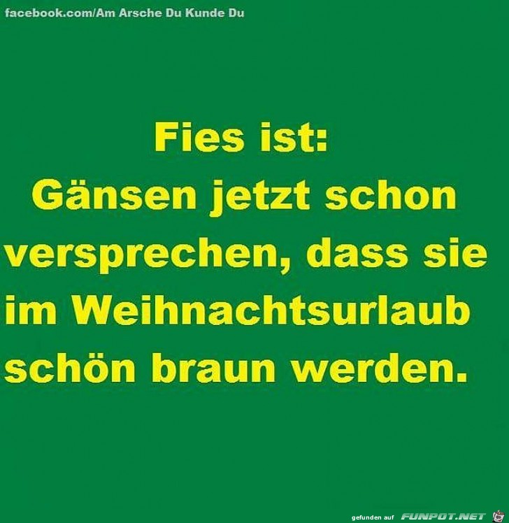 Fies ist Fies ist