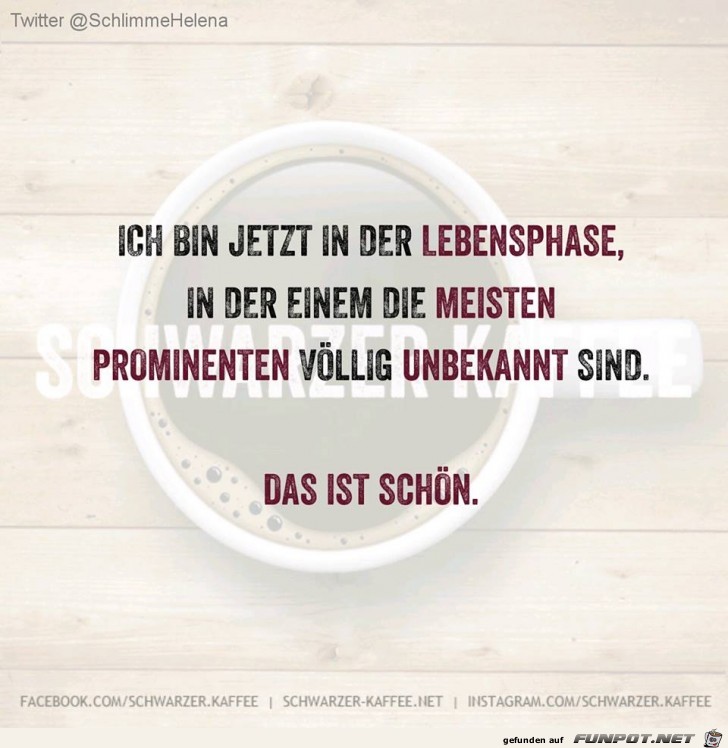 Lebensphase Lebensphase