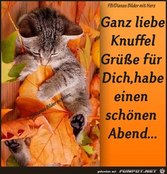 Ganz liebe Knuffelgruesse