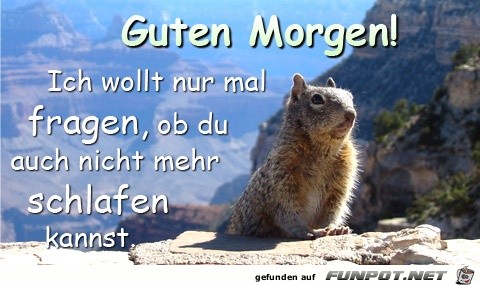 Wollt nur mal fragen