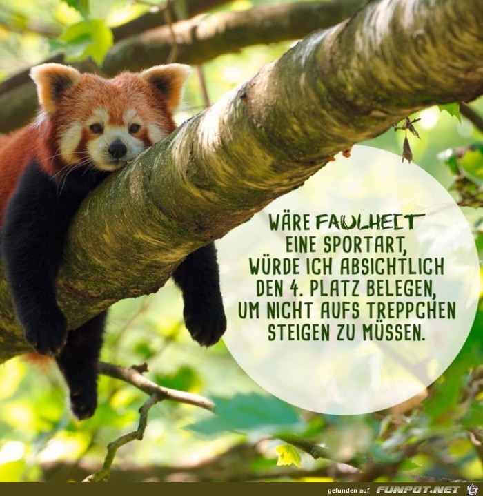 Waere Faulheit Waere Faulheit