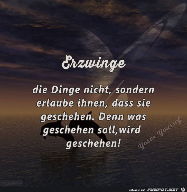 Erzwinge Erzwinge