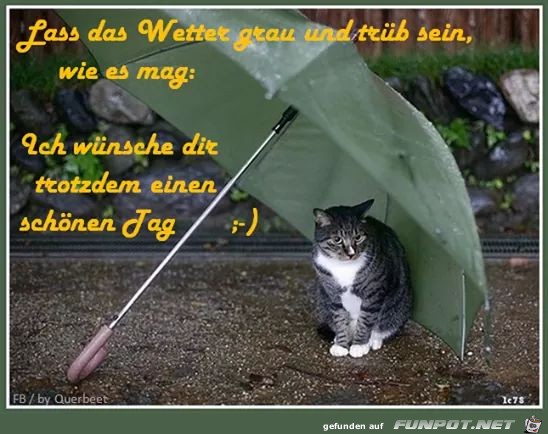 Lass das Wetter Lass das Wetter