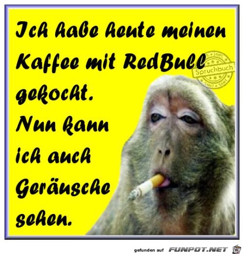 Hab heute Hab heute