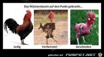 Das Männerdasein Das Männerdasein