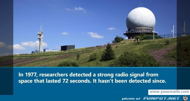 Radio signal Radio signal