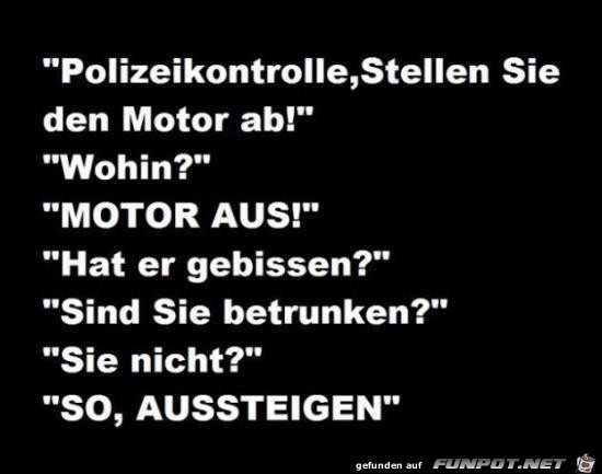 Polizeikontrolle..