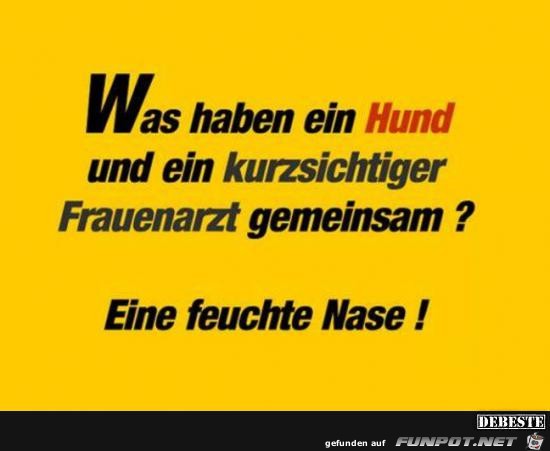 eine feuchte Nase......