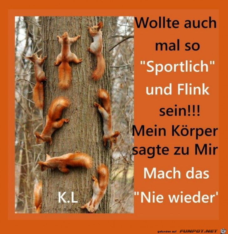 Wollte auch mal Wollte auch mal
