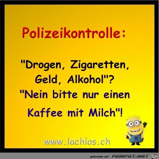 Polizeikontrolle Polizeikontrolle