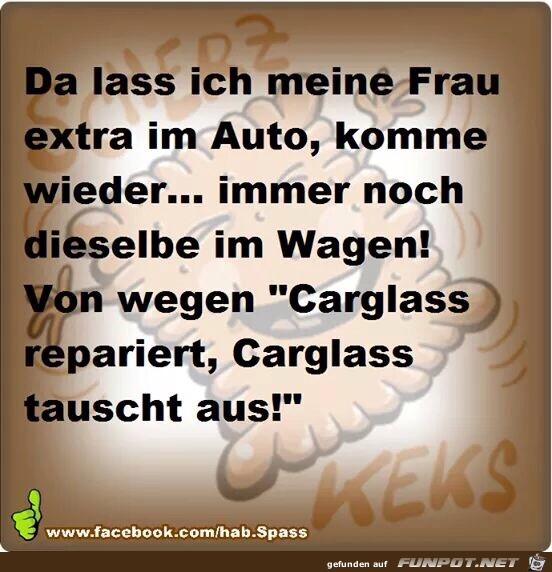 Carglass tauscht aus