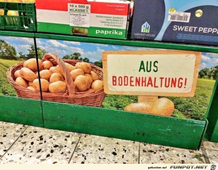 Neue Kartoffeln Neue Kartoffeln