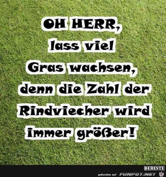 oh Herr, lass viel Gras wachsen...... oh Herr, lass viel Gras wachsen......