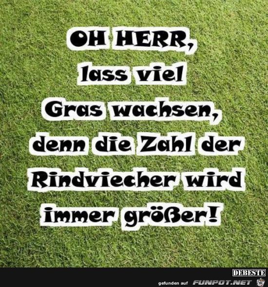 oh Herr, lass viel Gras wachsen......