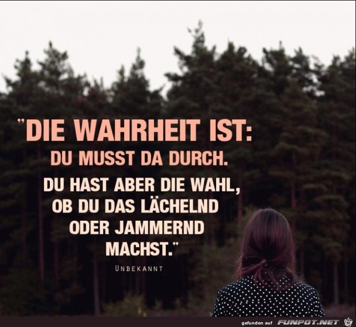 Die Wahrheit ist