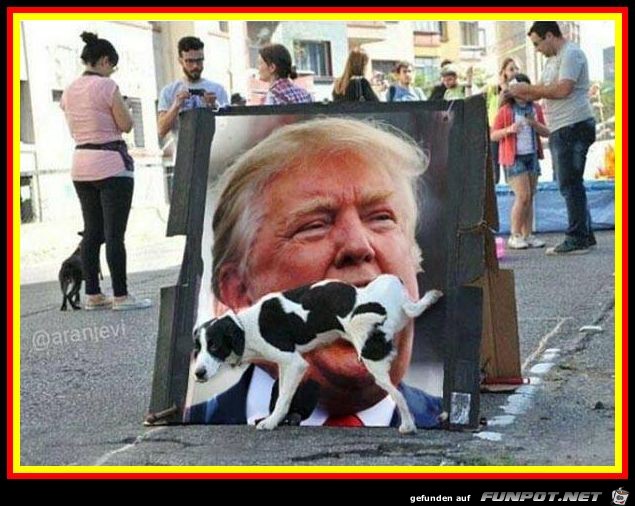 Wer mag den Hund Wer mag den Hund