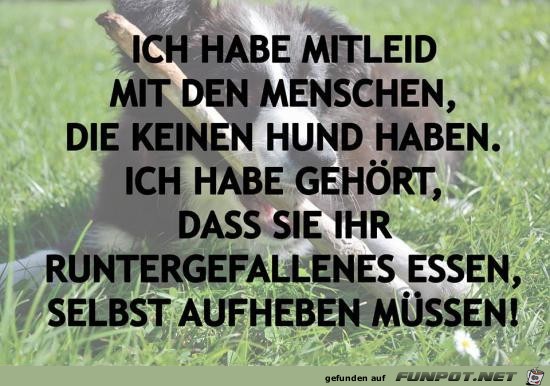 ich habe Mitleid.... ich habe Mitleid....