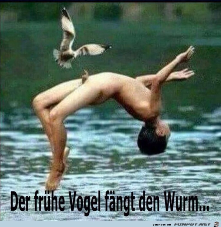 Der fruehe Vogel