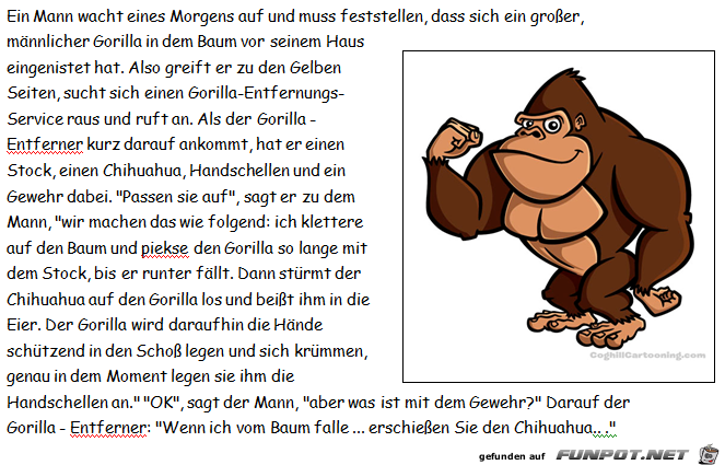 Gorilla Gorilla