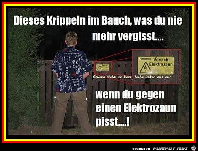 Dieses Kribbeln im Bauch Dieses Kribbeln im Bauch