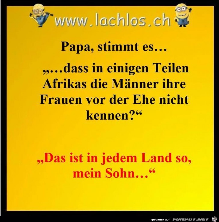 Papa stimmt es Papa stimmt es