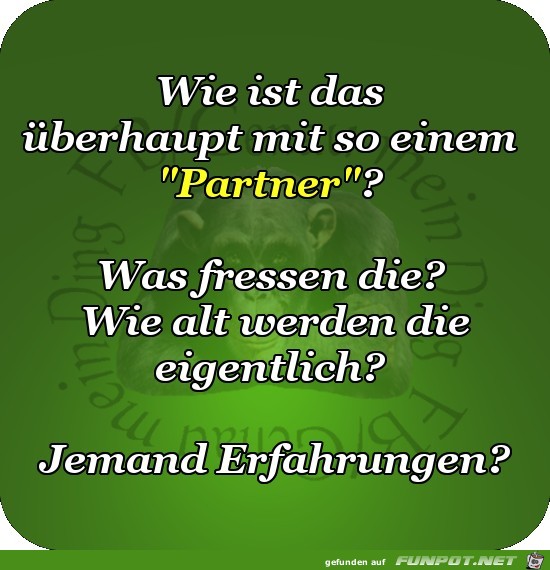 Wie ist das ueberhaupt Wie ist das ueberhaupt