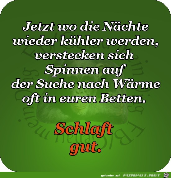 Wo die Naechte