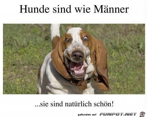 Naturschön Naturschön