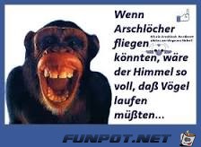 Der Himmel ist voll Der Himmel ist voll