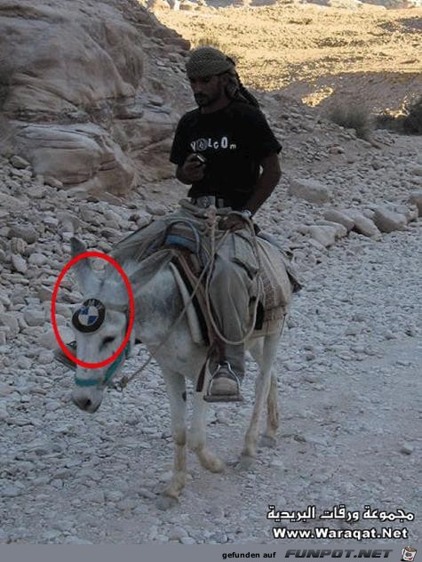 Der neue BMW ist da Der neue BMW ist da