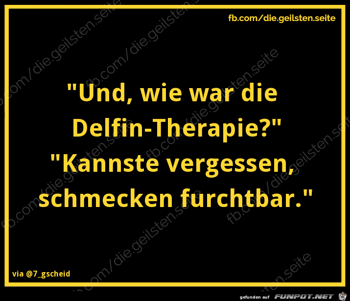 Delfin-Therapie Delfin-Therapie