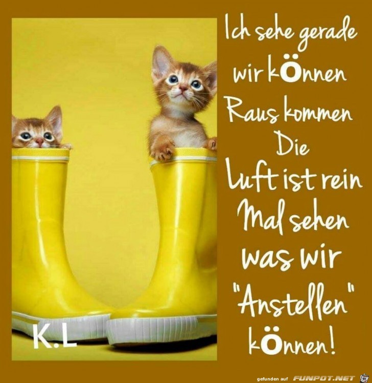 Ich sehe gerade Ich sehe gerade