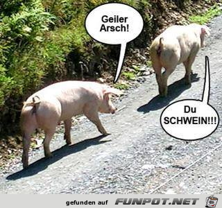wie passend wie passend