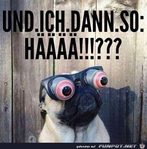 Bitte was? Bitte was?