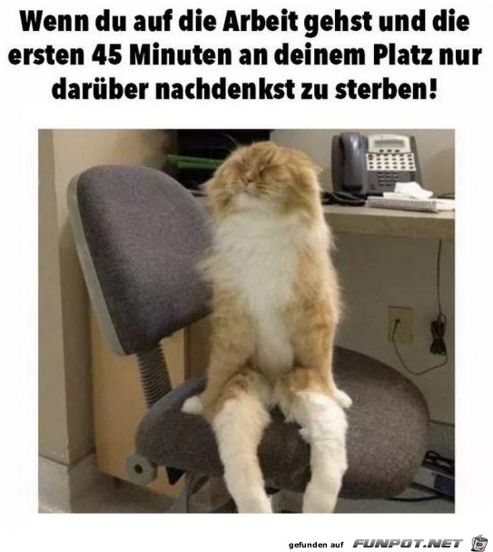 Ich will nicht Ich will nicht