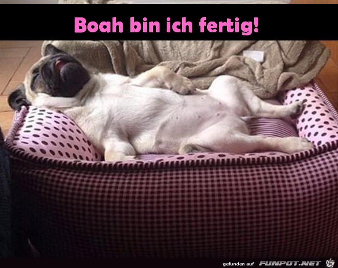 Ich bin fertig Ich bin fertig