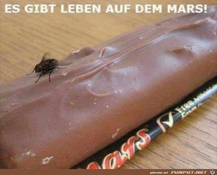 Leben auf dem Mars Leben auf dem Mars