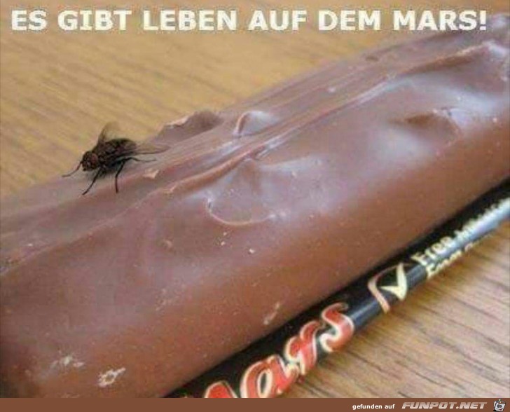 Leben auf dem Mars