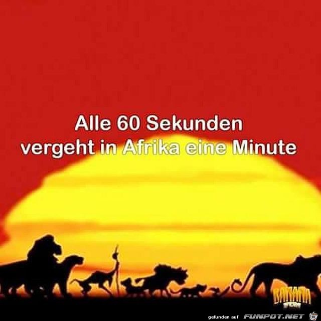 Letztens in Afrika Letztens in Afrika