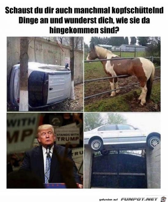 du wunderst dich...... du wunderst dich......