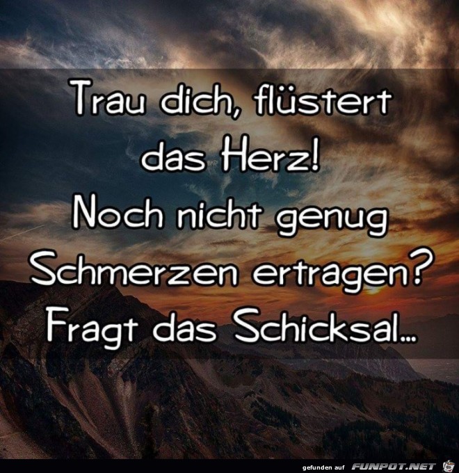 Trau dich