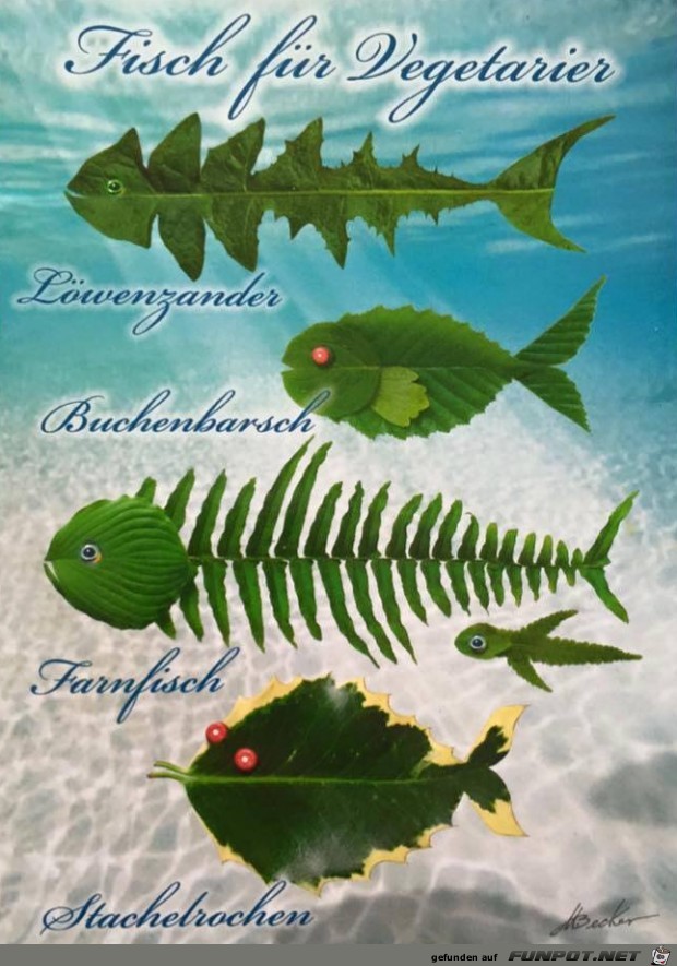 Besondere Fische Besondere Fische