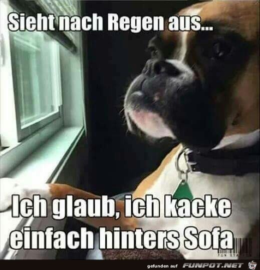 Sieht nach Regen aus... Sieht nach Regen aus...