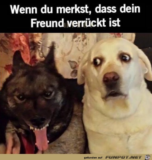 Mein Blick Mein Blick