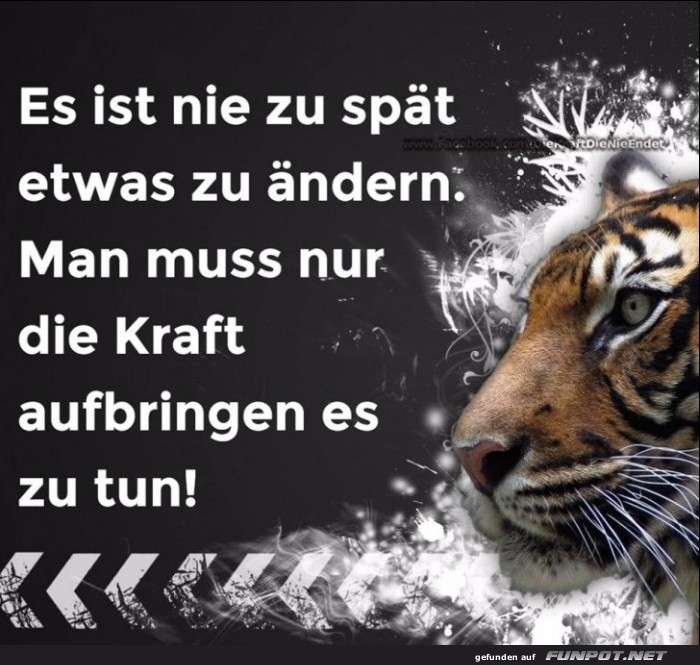 10 sch�ne Spr�che und Lebensweisheiten aus...