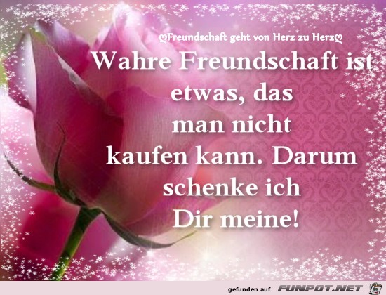 Wahre Freundschaft