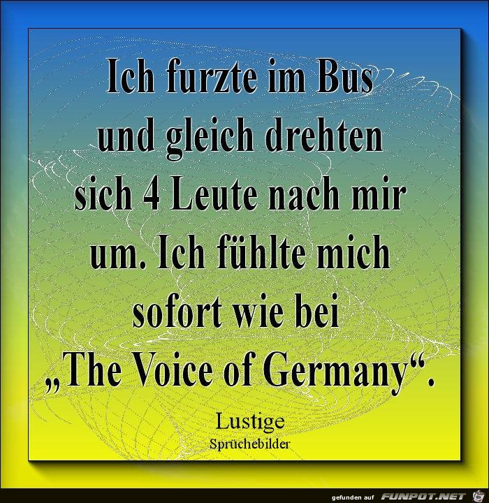 Furze im Bus Furze im Bus
