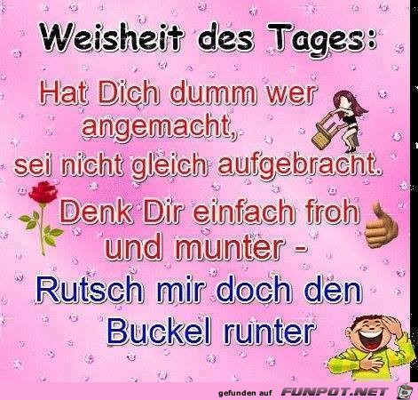 Weisheit des Tages Weisheit des Tages